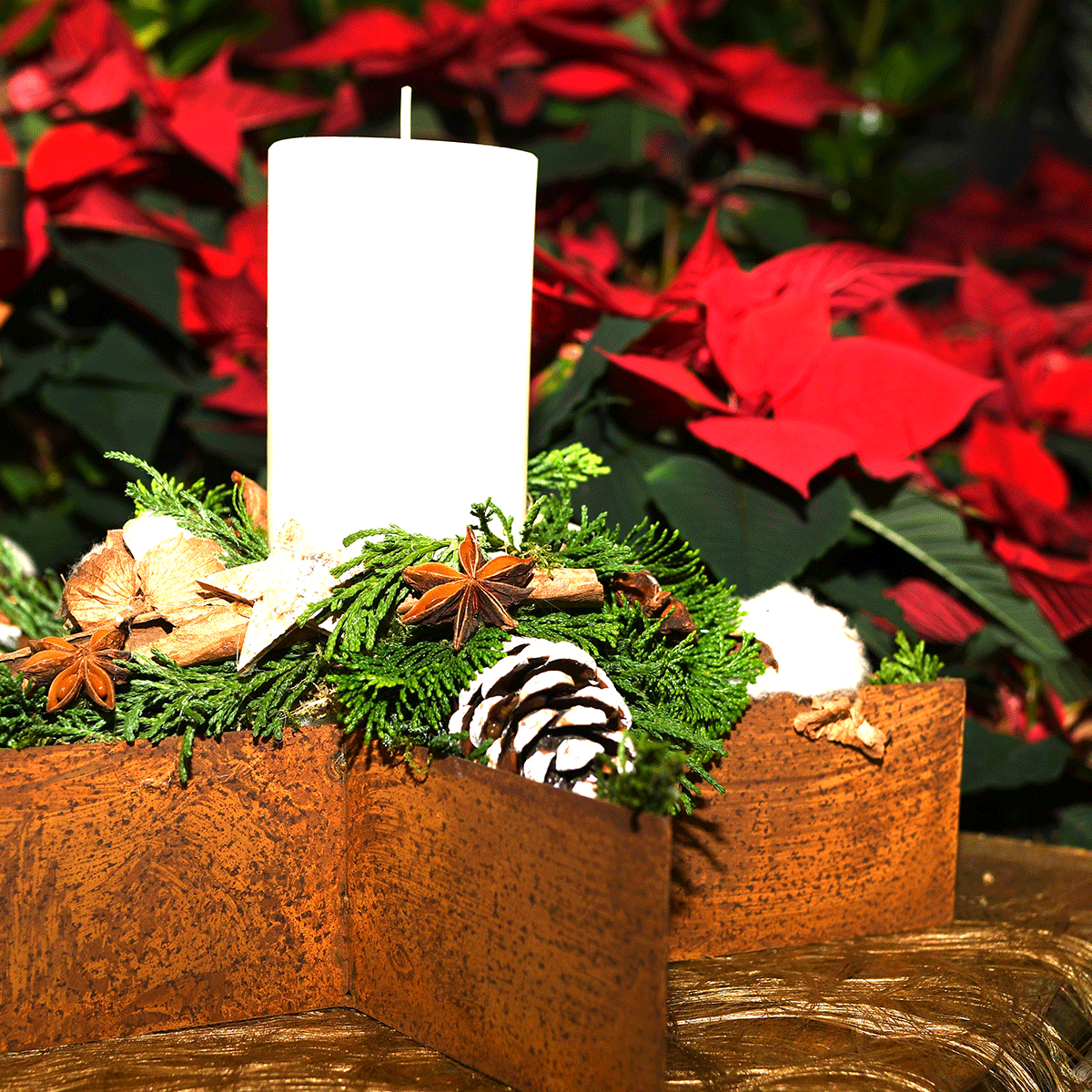 Advent25-2185a-Startmotiv